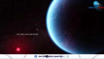 Life Found in K2-18b