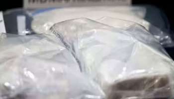 Massive Drug Hunt: കോഴിക്കോട് നരിപ്പറ്റയിൽ വൻ ലഹരി വേട്ട; പിടികൂടിയത് 10 ലക്ഷത്തിന്‍റെ എംഡിഎംഎ 