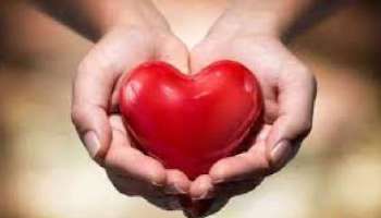Heart Health:  ഹൃദയാരോഗ്യം  നിലനിര്‍ത്തണോ! എങ്കില്‍ ശീലമാക്കിക്കോ ഈ ഭക്ഷണങ്ങള്‍