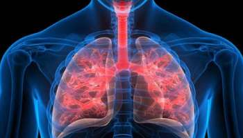 Health Tips: ശ്വാസകോശം ആരോഗ്യത്തോടെ നിലനിര്‍ത്താം! ഇക്കാര്യങ്ങള്‍ ശ്രദ്ധിക്കുക