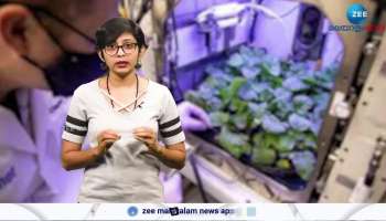 Growing Foods On Mars