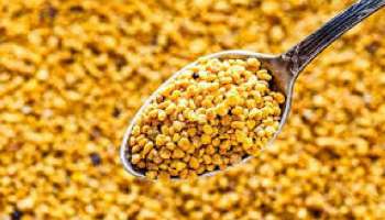 Bee Pollen: തേനീച്ച പൂമ്പൊടിയ്ക്ക്‌ ഇത്രയധികം ഗുണങ്ങളോ! അറിഞ്ഞിരിക്കണം ഇവ