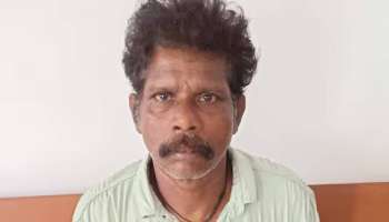 Pocso Case: നാലു വയസുകാരിയെ പീഡിപ്പിച്ച് 56കാരൻ; 11 വർഷം കഠിന തടവിന് വിധിച്ച് കോടതി