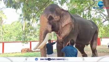 Thechikottukavu Ramachandran prepares to be a part of Thrissur Pooram