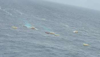 MSC Ship Accident: കാർഗോകൾ കേരള തീരത്ത് അടിഞ്ഞാൽ തൊടരുത്..! മുന്നറിയിപ്പ്