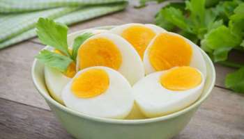 Egg Food Combinations: മുട്ടയ്ക്കൊപ്പം കഴിക്കാം ഈ ഭക്ഷണങ്ങൾ... ഇരട്ടി ​ഗുണം