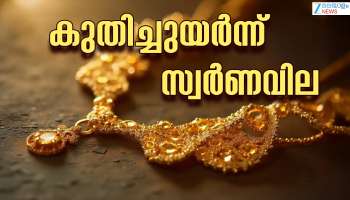 Gold price Today 11 JuLy 2025: കുതിച്ചുയർന്ന് സ്വർണവില; പവന് 440 രൂപ കൂടി, ഇന്നത്തെ വില അറിയാം