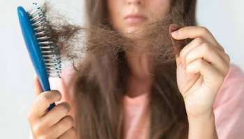 Hair Growth Tips: മുടി കൊഴിച്ചിലുണ്ടോ? ഈ ഭക്ഷണങ്ങൾ ശീലമാക്കൂ