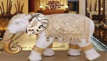 Elephant Statue Vastu Tips: കോടീശ്വരനാകണോ? ഈ വിഗ്രഹം വീട്ടിൽ വച്ചോളൂ..!