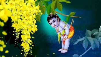 Vishu Phalam 2026: വിഷുഫലം 2026: വിഷു മുതൽ ഈ നാളുകാർക്ക് സുവർണ്ണ കാലം, നിങ്ങളും ഉണ്ടോ? 