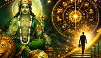Budh Gochar 2026: ബുധൻ കാർത്തിക നക്ഷത്രത്തിലേക്ക്... ഇവർക്കിനി ഭാഗ്യ ദിനങ്ങൾ ഒപ്പം കരിയറിൽ ഉയർച്ചയും