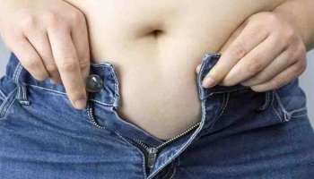 Belly Fat : വയർ കുറയ്ക്കാം; ഈ 5 കാര്യങ്ങൾ ദിവസവും ചെയ്യൂ