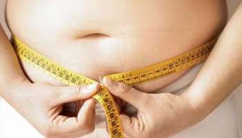Belly Fat Remedies : കുടവയർ പെട്ടെന്ന് കുറയ്ക്കാൻ വീട്ടിൽ ചെയ്യാവുന്ന ചില എളുപ്പവഴികൾ