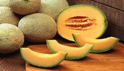 Benefits of eating Musk Melon: ദിവസവും രാവിലെ ഷമാം ഇങ്ങനെ കഴിക്കൂ...! നിങ്ങളുടെ ഈ അസുഖങ്ങളോട് ​ഗുഡ്ബൈ പറയൂ