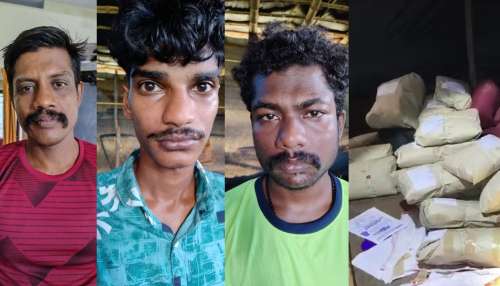 Cannabis Seized: വിൽപ്പനക്കായി വീട്ടിൽ സൂക്ഷിച്ചിരുന്ന 30 കിലോ കഞ്ചാവ് പിടികൂടി Cannabis Seized: വിൽപ്പനക്കായി വീട്ടിൽ സൂക്ഷിച്ചിരുന്ന 30 കിലോ കഞ്ചാവ് പിടികൂടി