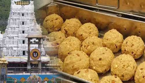 Tirumala Laddu: തിരുപ്പതി ലഡ്ഡുവിൽ മൃഗക്കൊഴുപ്പും മീനെണ്ണയുമെന്ന് ചന്ദ്രബാബു നായിഡു..!