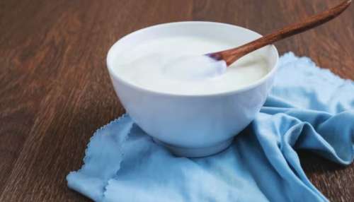 Yogurt Benefits: പ്രോബയോട്ടിക്സ് സമ്പുഷ്ടം; അറിയാം തൈരിൻറെ ഗുണങ്ങൾ