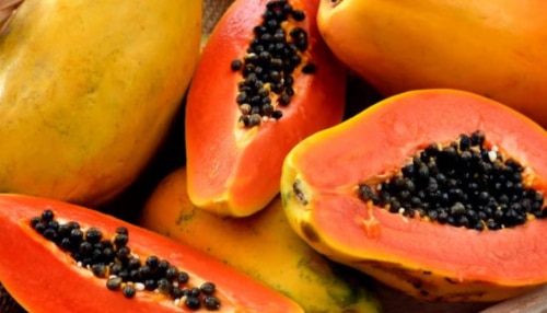 Papaya Seeds: പപ്പായക്കുരു വെറുതെ വലിച്ചെറിയല്ലേ; ഗുണങ്ങൾ നിരവധി!