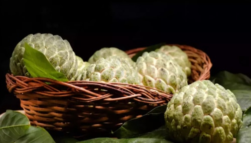 Health Benefits Of Custard Apple: രുചിയിൽ മാത്രമല്ല ആരോഗ്യഗുണങ്ങളിലും കേമനാ! സീതപ്പഴത്തിന്റെ ഈ ഗുണങ്ങൾ അറിയാമോ?