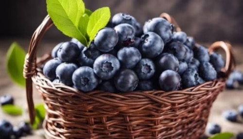 Blueberries: ഓർമ്മ ശക്തിയും രോഗപ്രതിരോധവും; ബ്ലൂബെറി നിസ്സാരക്കാരനല്ല!