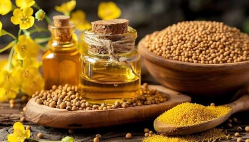 Mustard Oil: തണുപ്പ് കാലമെത്തി ഒപ്പം രോഗങ്ങളും, കടുകെണ്ണ ഉണ്ടോ? ആരോഗ്യം സംരക്ഷിക്കാം!