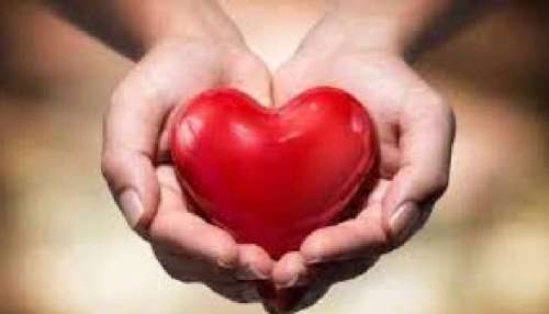 Heart Health:  ഹൃദയാരോഗ്യം  നിലനിര്‍ത്തണോ! എങ്കില്‍ ശീലമാക്കിക്കോ ഈ ഭക്ഷണങ്ങള്‍