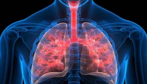 Health Tips: ശ്വാസകോശം ആരോഗ്യത്തോടെ നിലനിര്‍ത്താം! ഇക്കാര്യങ്ങള്‍ ശ്രദ്ധിക്കുക