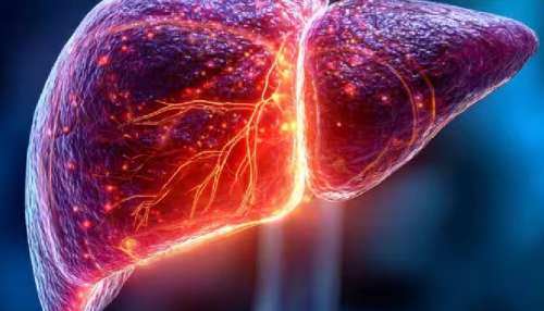 Liver Health Precautions: കരള്‍ അടിച്ചുപോകാന്‍ വെള്ളമടിക്കണം എന്നില്ല... ഈ ശീലങ്ങള്‍ ഒന്ന് ശ്രദ്ധിക്കൂ