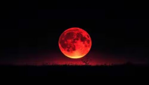 Blood Moon Lunar Eclipse 2026: ചന്ദ്രൻ ചുവപ്പണിയുന്നു..! ദോഷങ്ങൾ മാറി, തലവര തെളിയും ഈ രാശിക്കാരുടെ, കടുകിട തെറ്റാത്ത ജ്യോതിഷ പ്രവചനം