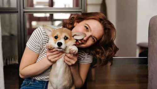 Pet Care Tips: വീട്ടിൽ വളർത്തുനായയുണ്ടോ? ഈ ഭക്ഷണങ്ങൾ കൊടുക്കരുതേ.. ജീവനാപത്ത്..!
