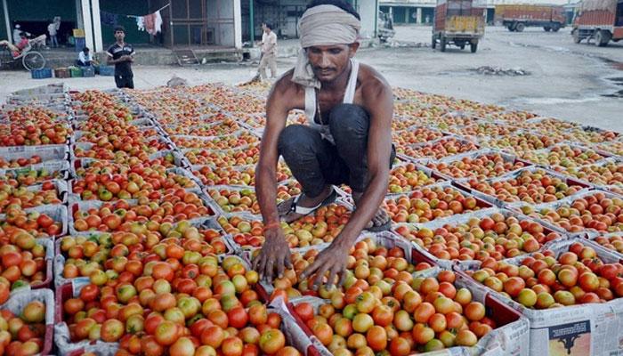  പാകിസ്ഥാനില്‍ തക്കാളി കിലോക്ക് 300 രൂപ; എന്നാലും ഇന്ത്യന്‍ തക്കാളിവേണ്ട