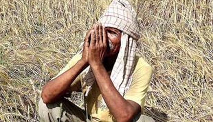 ജലക്ഷാമത്താല് വലഞ്ഞ് ഗുജറാത്തിലെ കര്ഷകര് ജലക്ഷാമത്താല് വലഞ്ഞ് ഗുജറാത്തിലെ കര്ഷകര്