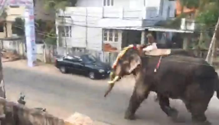 ശ്രീ പത്മനാഭസ്വാമി ക്ഷേത്രത്തിലെ ആറാട്ടിനിടെ ആന ഇടഞ്ഞു