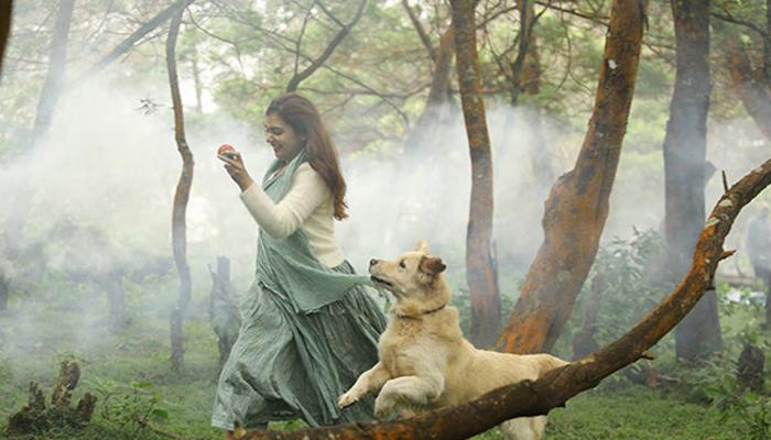 ഒരിടവേളയ്‍ക്ക് ശേഷം നസ്രിയ അഭിനയിക്കുന്ന 'കൂടെ'യിലെ ആദ്യ സോങ് ടീസര്‍ ഇറങ്ങി