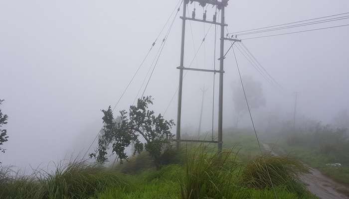 ഇടുക്കിയില് മഴ വീണ്ടും ശക്തം; ജലനിരപ്പ് 2400.52 അടി ഇടുക്കിയില് മഴ വീണ്ടും ശക്തം; ജലനിരപ്പ് 2400.52 അടി