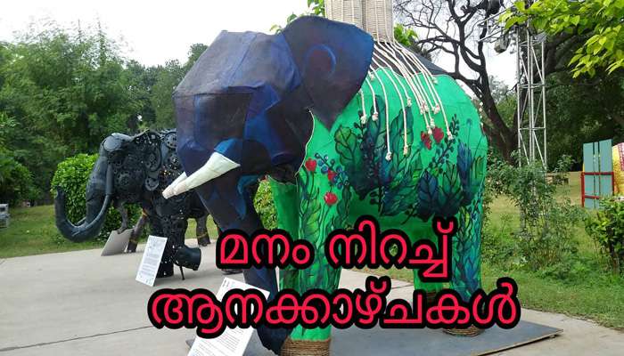 രാജ്യതലസ്ഥാനത്തെ 'ആന'ക്കാര്യം രാജ്യതലസ്ഥാനത്തെ 'ആന'ക്കാര്യം