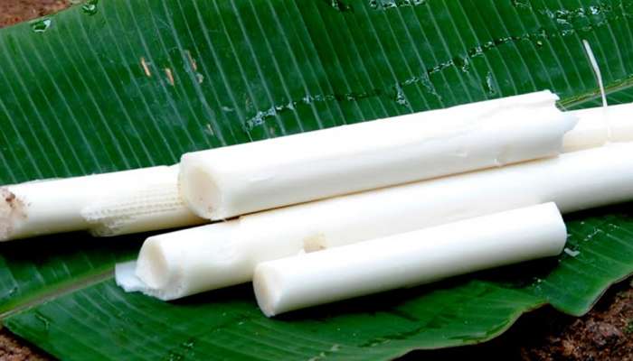 വാഴപ്പിണ്ടി; വൃക്കയിലെ കല്ലിനെ അലിയിച്ചു കളയും വാഴപ്പിണ്ടി; വൃക്കയിലെ കല്ലിനെ അലിയിച്ചു കളയും