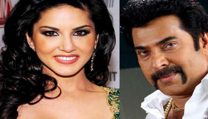 മധുരരാജയില് മമ്മൂട്ടിക്കൊപ്പം സണ്ണി ലിയോണ് എത്തുന്നു മധുരരാജയില് മമ്മൂട്ടിക്കൊപ്പം സണ്ണി ലിയോണ് എത്തുന്നു