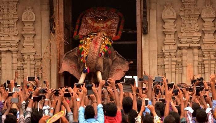 തെച്ചിക്കോട്ടുകാവ് രാമചന്ദ്രന്റെ ആരോഗ്യനില തൃപ്തികരം!! തെച്ചിക്കോട്ടുകാവ് രാമചന്ദ്രന്റെ ആരോഗ്യനില തൃപ്തികരം!!