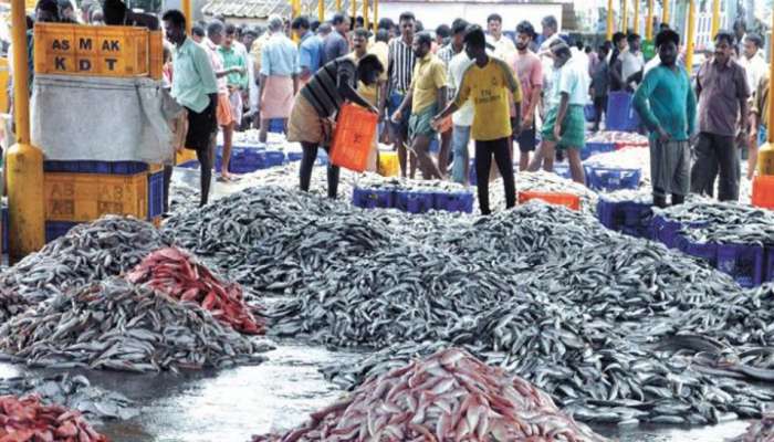 നിരോധനം ഏര്‍പ്പെടുത്തിയതോടെ മത്സ്യം എത്തുന്നത് തമിഴ്നാട്ടില്‍ നിന്നും!!