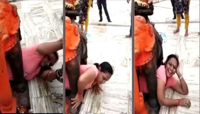 viral video: ആന പ്രതിമയില് കുടുങ്ങി വീട്ടമ്മ!! viral video: ആന പ്രതിമയില് കുടുങ്ങി വീട്ടമ്മ!!