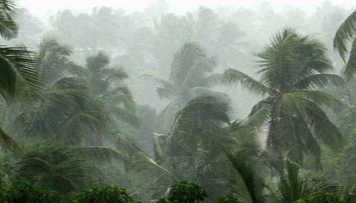 സംസ്ഥാനത്ത് ശക്തമായ മഴയ്ക്കു സാധ്യത; 9 ജില്ലകളില് യെല്ലോ അലേര്ട്ട് സംസ്ഥാനത്ത് ശക്തമായ മഴയ്ക്കു സാധ്യത; 9 ജില്ലകളില് യെല്ലോ അലേര്ട്ട്
