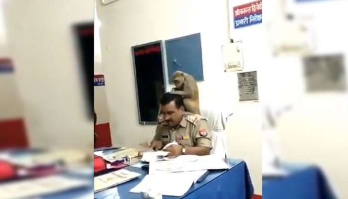 Viral Video:... പൊലീസ് ഇന്സ്പെക്ടറുടെ തോളിലിരുന്ന് പേന് നോക്കുന്ന കുരങ്ങന്!! Viral Video:... പൊലീസ് ഇന്സ്പെക്ടറുടെ തോളിലിരുന്ന് പേന് നോക്കുന്ന കുരങ്ങന്!!