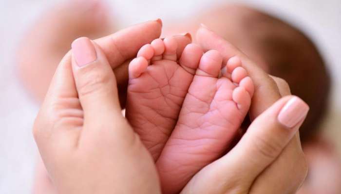 മരിച്ച മകള്ക്കായി കുഴിയെടുത്തു; കിട്ടിയത് ജീവനുള്ള കുഞ്ഞ്! മരിച്ച മകള്ക്കായി കുഴിയെടുത്തു; കിട്ടിയത് ജീവനുള്ള കുഞ്ഞ്!