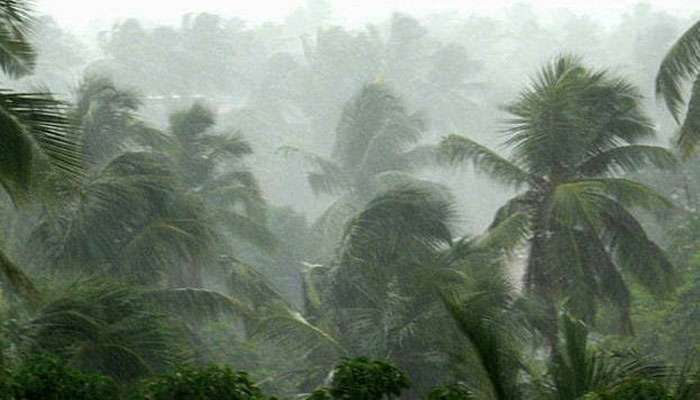 കേരളത്തില് നാളെ മുതല് വീണ്ടും ശക്തമായ മഴ; 5 ജില്ലകളില് യെല്ലോ അലേര്ട്ട് കേരളത്തില് നാളെ മുതല് വീണ്ടും ശക്തമായ മഴ; 5 ജില്ലകളില് യെല്ലോ അലേര്ട്ട്