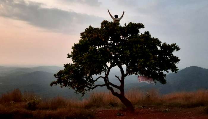 കോഴിക്കോടുമുണ്ടൊരു മീശപുലിമല കോഴിക്കോടുമുണ്ടൊരു മീശപുലിമല