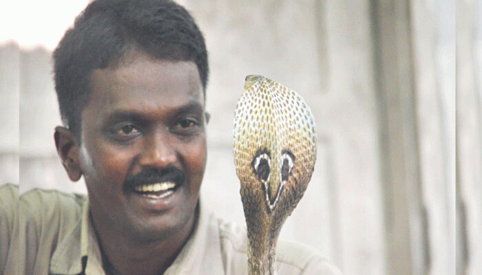 പാമ്പുകടിയേറ്റ് വാവ സുരേഷ് ആശുപത്രിയിൽ പാമ്പുകടിയേറ്റ് വാവ സുരേഷ് ആശുപത്രിയിൽ