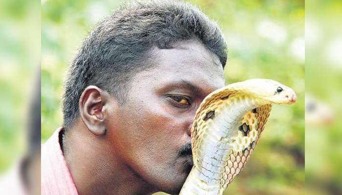 വാവ സുരേഷിനായി അര്ച്ചനയും പുറ്റും മുട്ടയും; ആരോഗ്യ നിലയില് പുരോഗതി!! വാവ സുരേഷിനായി അര്ച്ചനയും പുറ്റും മുട്ടയും; ആരോഗ്യ നിലയില് പുരോഗതി!!