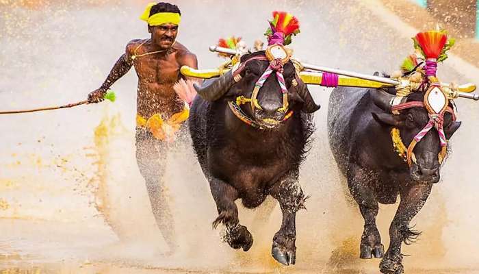 ബോള്ട്ടിന് ചെളിയില് വേഗത്തില് ഓടാനാകില്ല, തനിക്ക് ട്രാക്കിലും!! ബോള്ട്ടിന് ചെളിയില് വേഗത്തില് ഓടാനാകില്ല, തനിക്ക് ട്രാക്കിലും!!