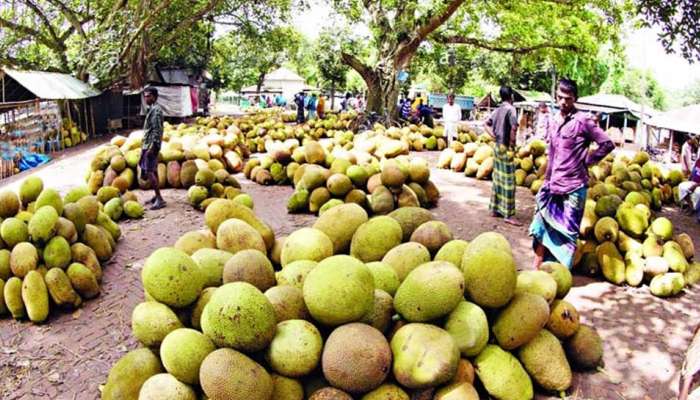 കൊറോണ ഭീതി: ചിക്കന് പകരം ചക്ക താരമാകുന്നു!